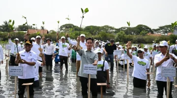 Tanam Mangrove Di Banten,  Wapres RI Dorong Penguatan Ekosistem Pesisir Berkelanjutan