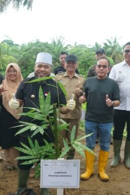 berita-rekomendasi-foto