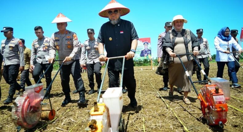 foto slider headline