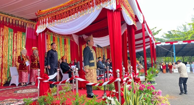 foto slider headline