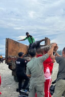 berita-rekomendasi-foto