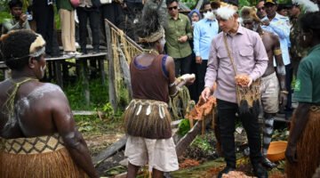 Dukung Hilirisasi Komoditas Unggulan Papua, Wapres RI Tinjau Sekolah Lapang Sagu Asmat